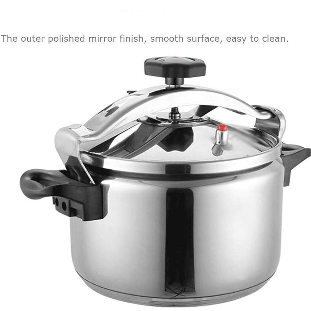 Stainless Steel 3L Electric Pressure Cooker Y10748