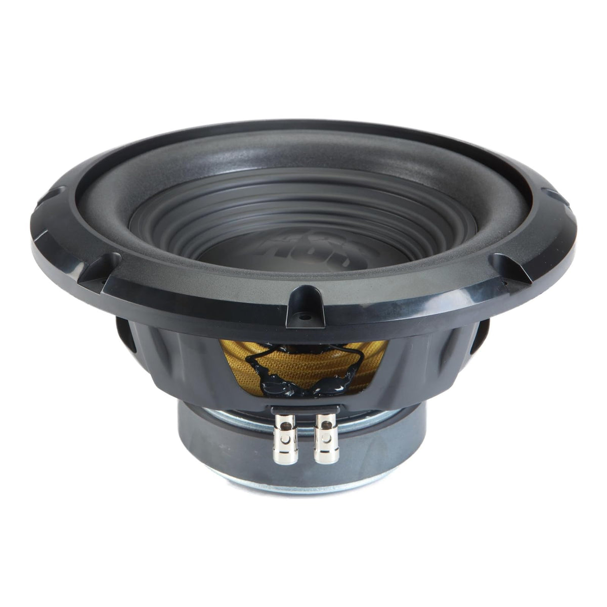 Dual 10 Loaded Sub Box with Amp J416920