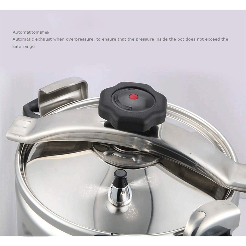 Stainless Steel 3L Electric Pressure Cooker Y10748