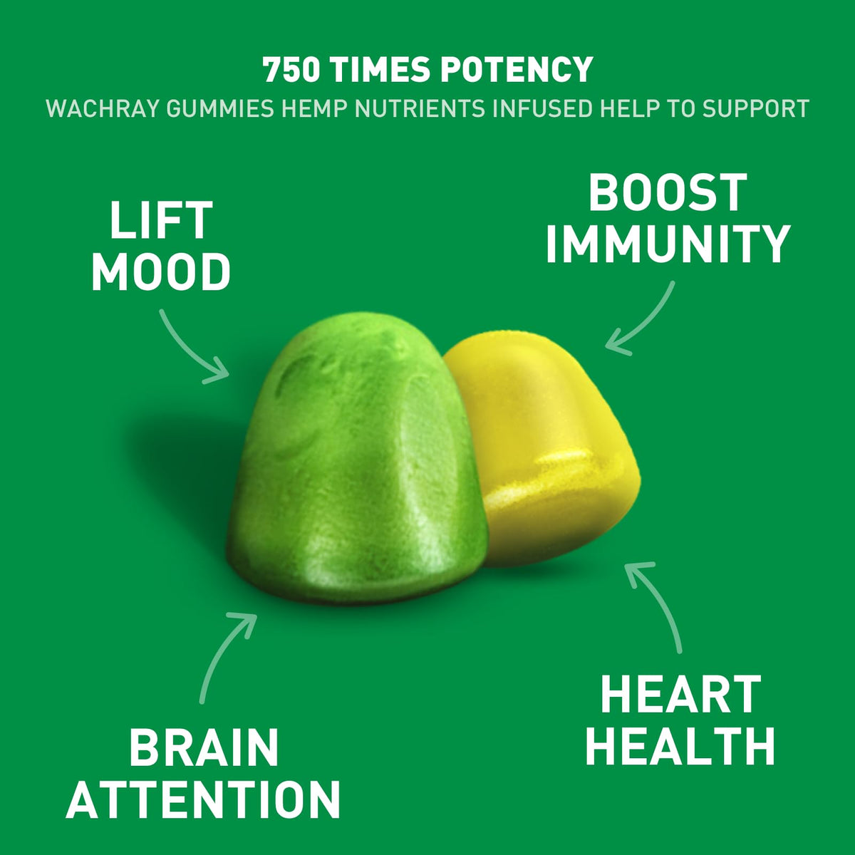 Organic Hemp Gummies 240 Count K8528