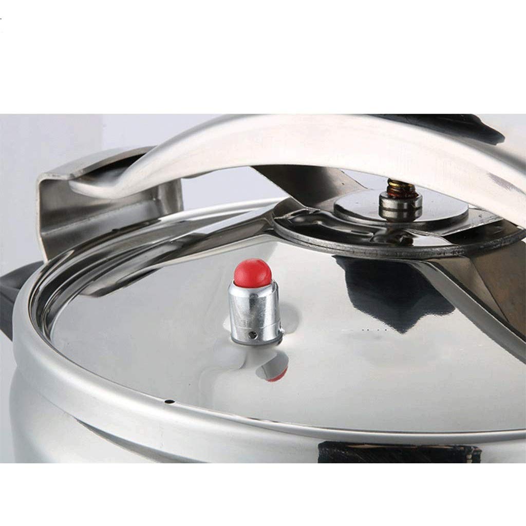 Stainless Steel 3L Electric Pressure Cooker Y10748