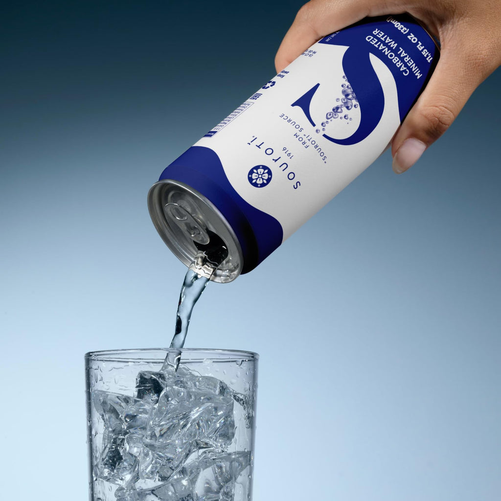 Unflavored Carbonated Mineral Water 6-Pack 330ml Tins L905887