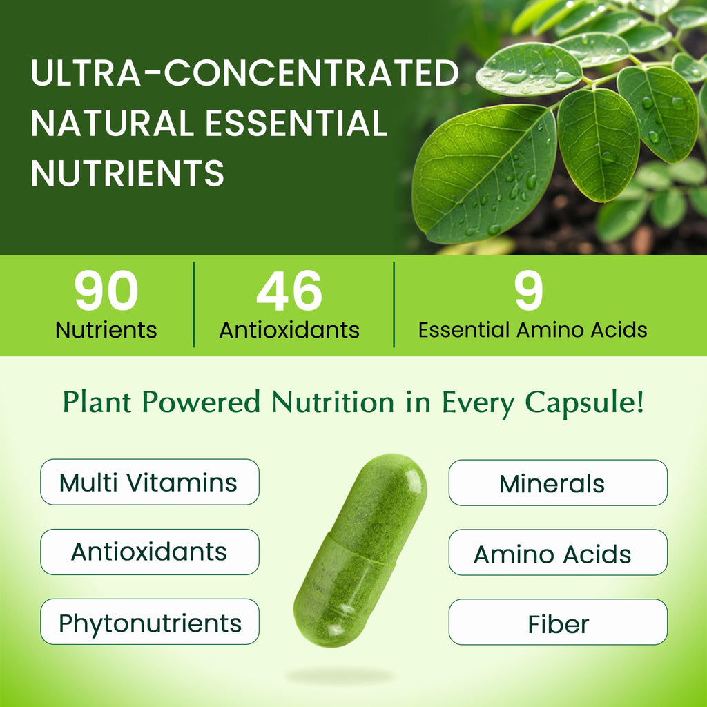 1000mg Organic Moringa Capsule 120 Vegan Capsule X720