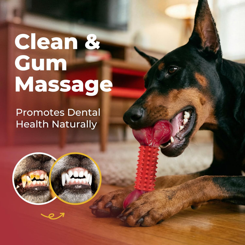 Beef Flavored Dog Chew Toys E756