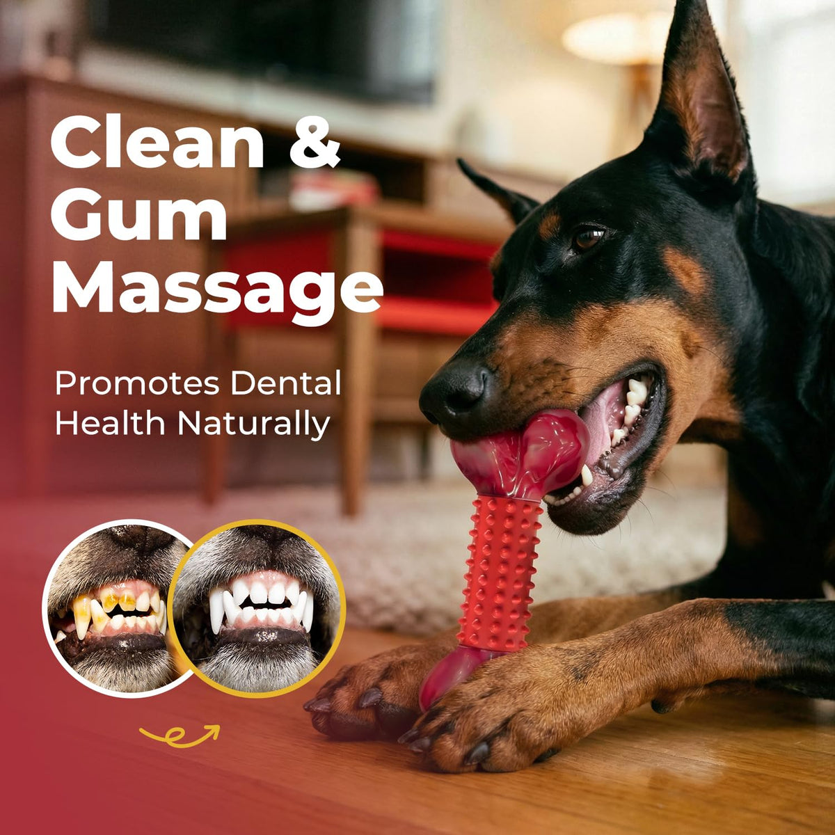 Beef Flavored Dog Chew Toys E756