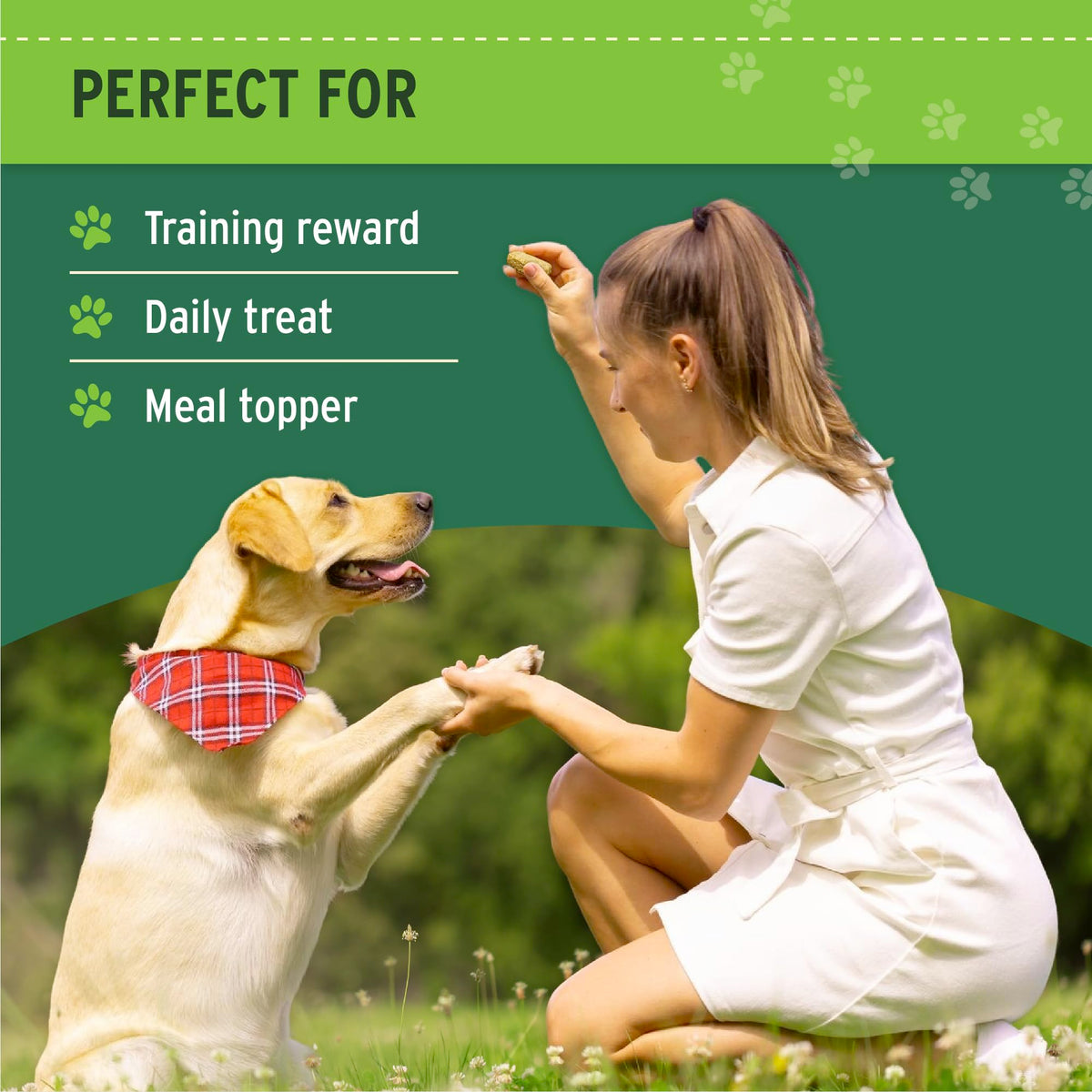 Freeze Dried Beef Liver Dog & Cat Treats S854