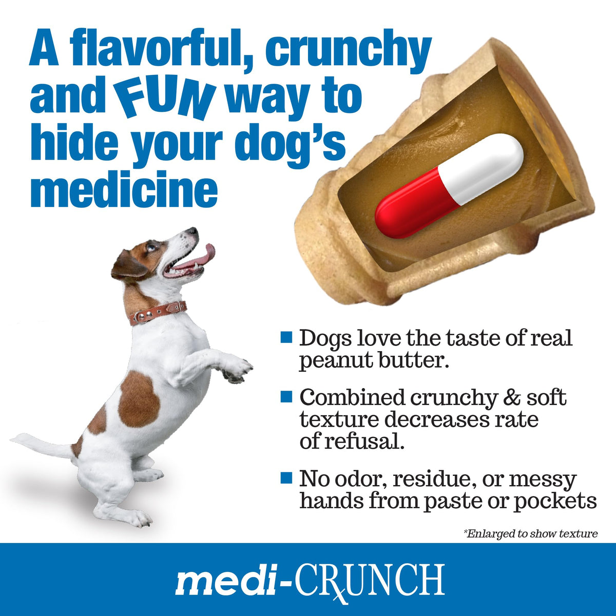 Peanut Butter Dog Pill Treats 180 Count R73799
