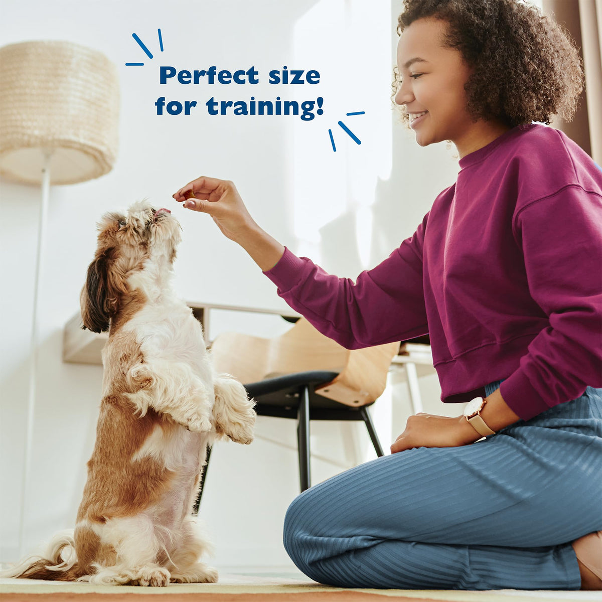 Soft Training Treats for Dogs with Chicken Liver 20oz 2-Pack C4989
