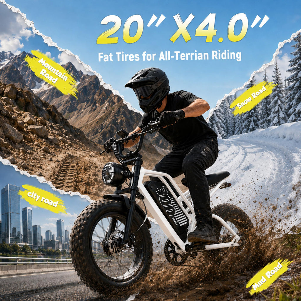 Electric Bike 48V 20.8/41.6Ah Battery 1500W Peak Motor 20×4.0" Fat Tire S462355