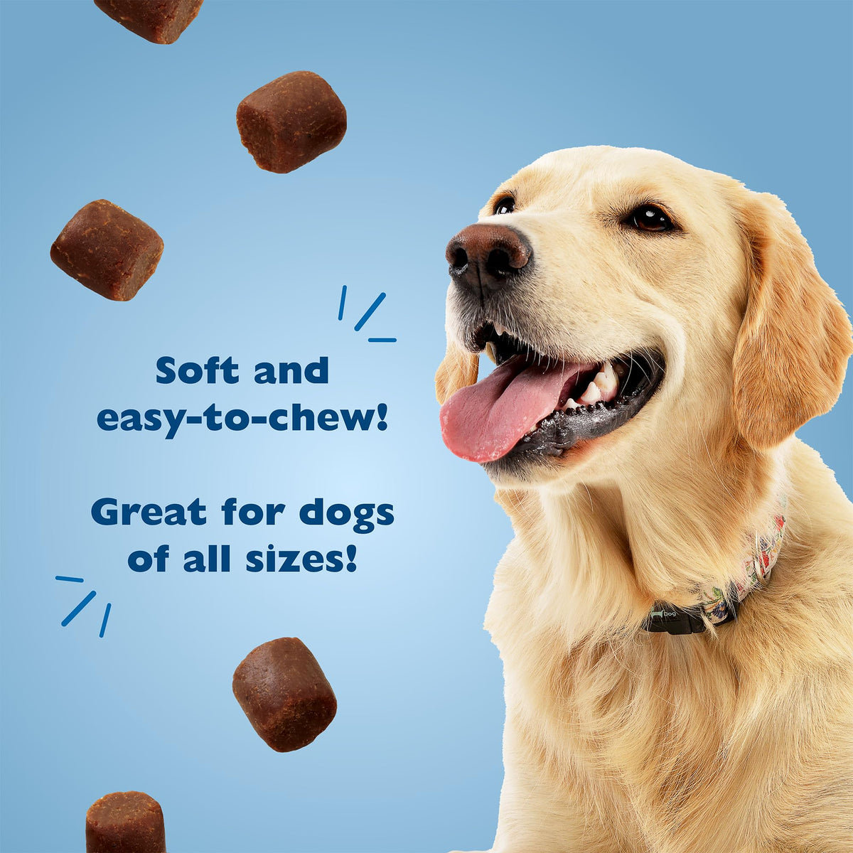Soft Training Treats for Dogs with Chicken Liver 20oz 2-Pack C4989