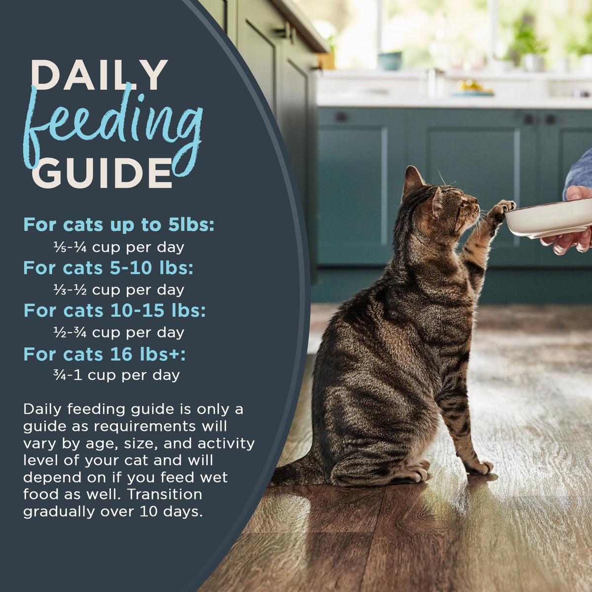 Grain Free Dry Cat Food 3 lb Bag T838337