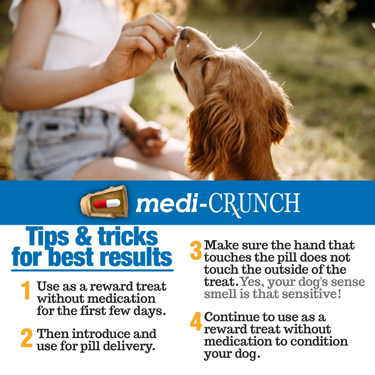 Peanut Butter Dog Pill Treats 180 Count R73799