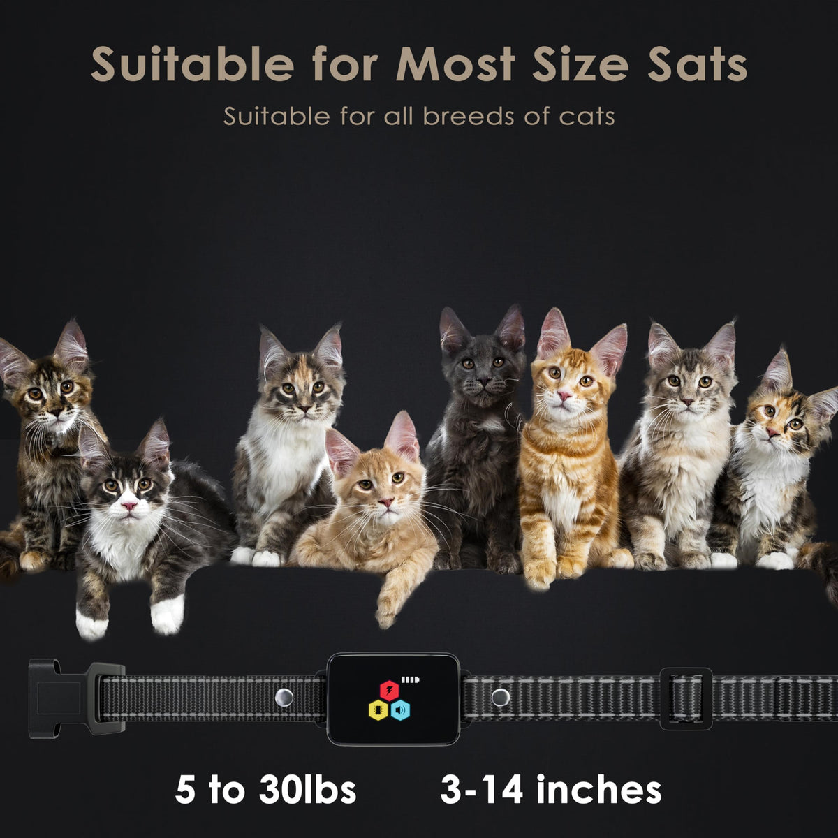 Remote Electric Cat Training Collar 3300FT IP67 Waterproof W1277