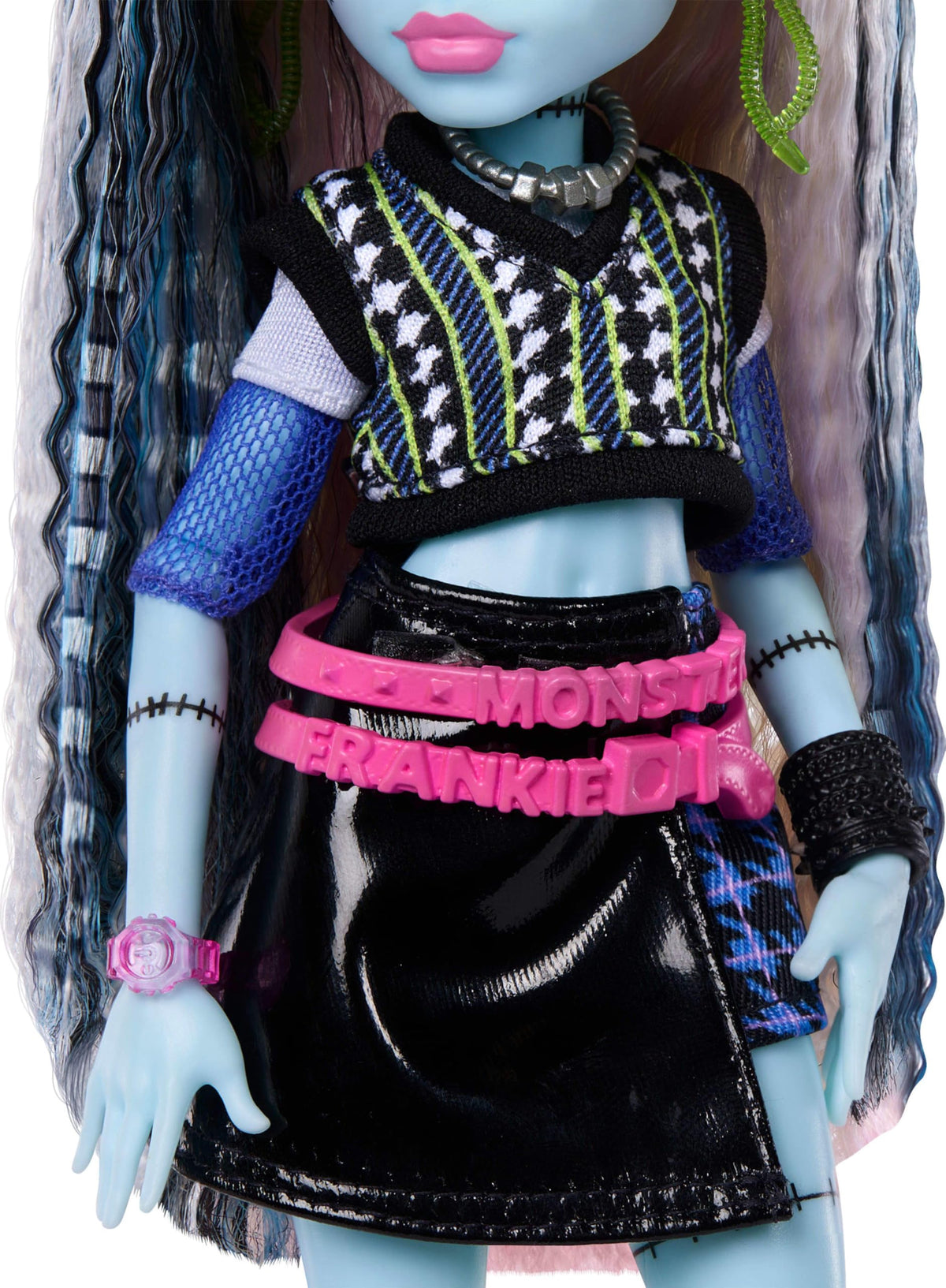 Frankie Stein Doll with Pet Dog W264800