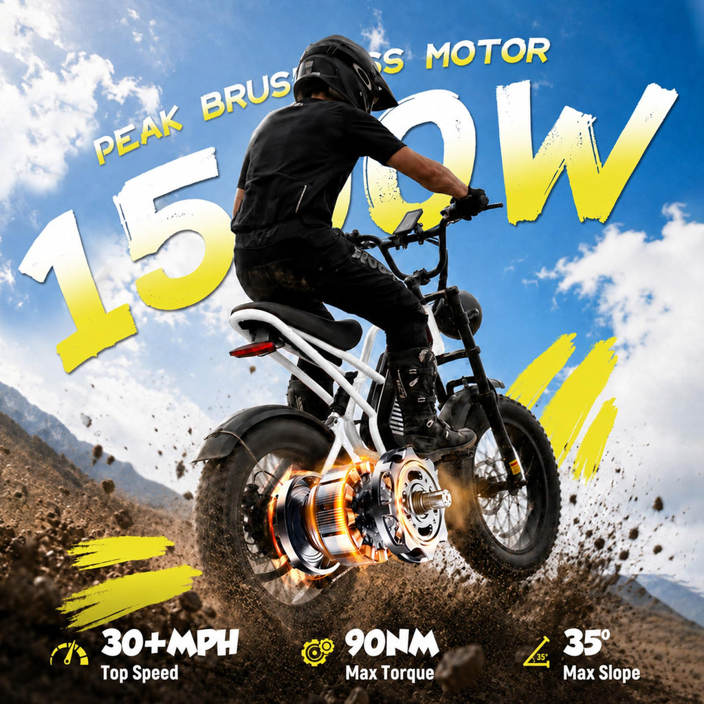 Electric Bike 48V 20.8/41.6Ah Battery 1500W Peak Motor 20×4.0" Fat Tire S462355