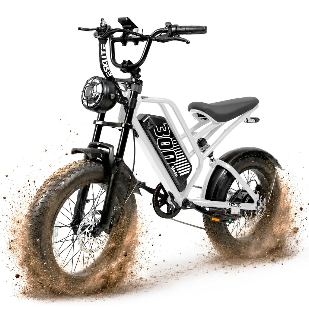 Electric Bike 48V 20.8/41.6Ah Battery 1500W Peak Motor 20×4.0" Fat Tire S462355