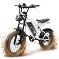Electric Bike 48V 20.8/41.6Ah Battery 1500W Peak Motor 20×4.0" Fat Tire S462355