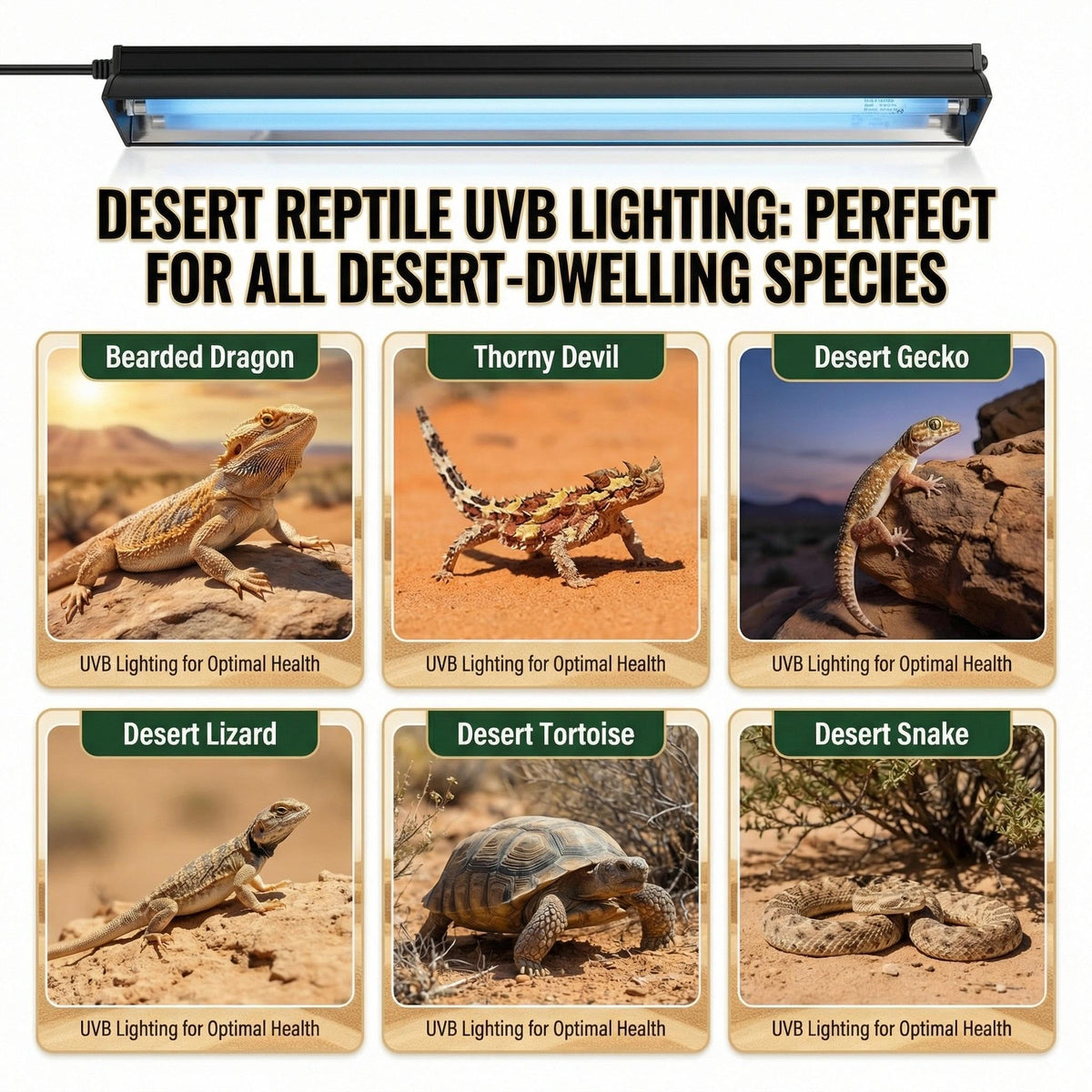 8W 10.0 12 Inch T5 UVB Reptile Light Fixture with Bulb M25242