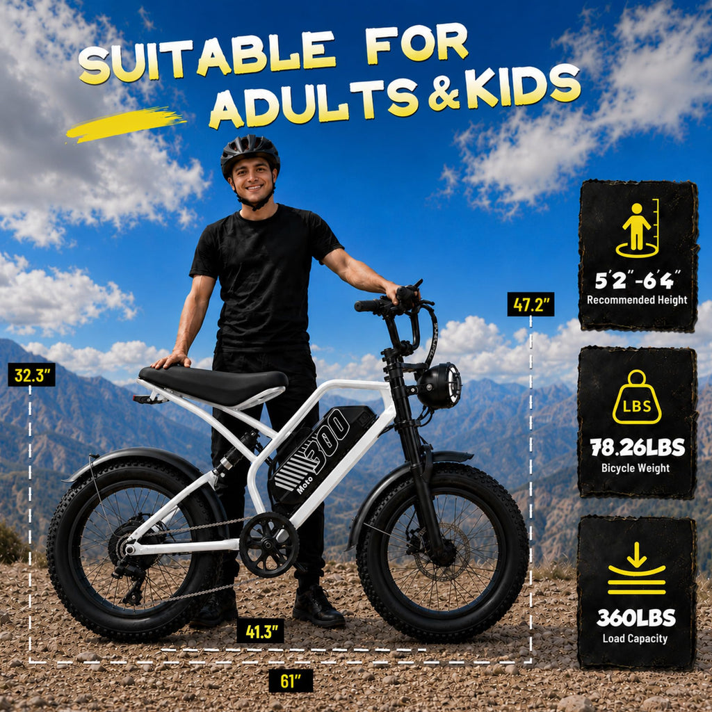 Electric Bike 48V 20.8/41.6Ah Battery 1500W Peak Motor 20×4.0" Fat Tire S462355
